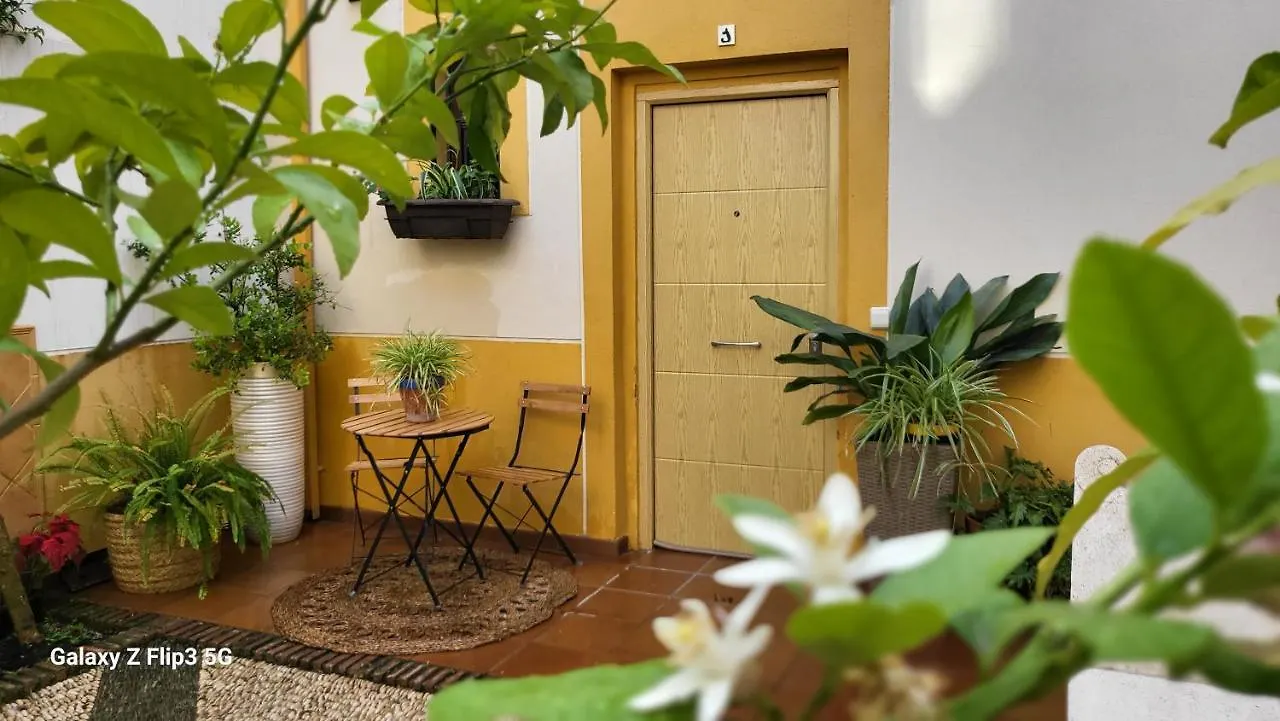 Apartamento Casa Naranjo Cordoue