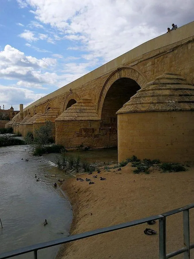 Appartement Apartamento Casa Naranjo Cordoue Espagne